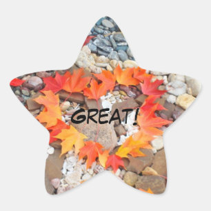 Star Shape stickers GREAT! Heart Leaves seals