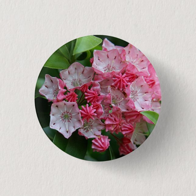 Star Shaped Kalmias 1 Inch Round Button (Front)