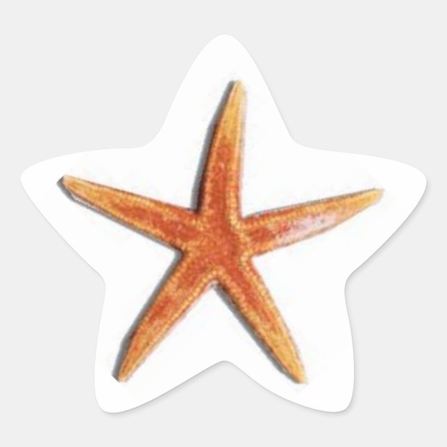 Star shaped starfish sticker (Front)