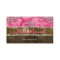 Star Suede Business Card Baby Pink H