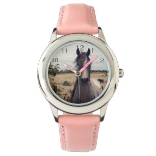 Star The Arab Horse, Watch