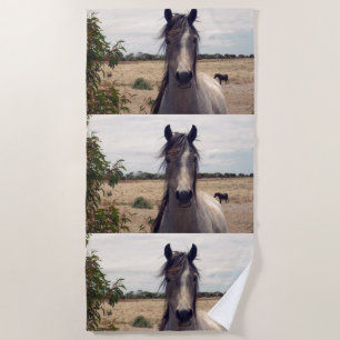 Star The Arab Pony,  Beach Towel