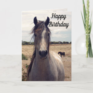 Star The Arab Pony, Birthday Card