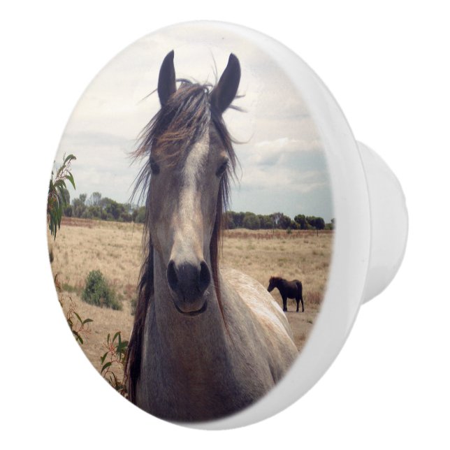 Star The Arab Pony, Ceramic Knob (Right)