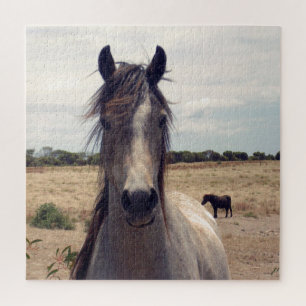 Star The Arab Pony, Jigsaw Puzzle