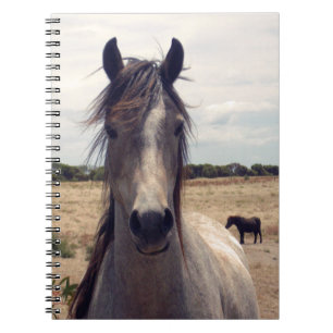 Star The Arab Pony,  Notebook