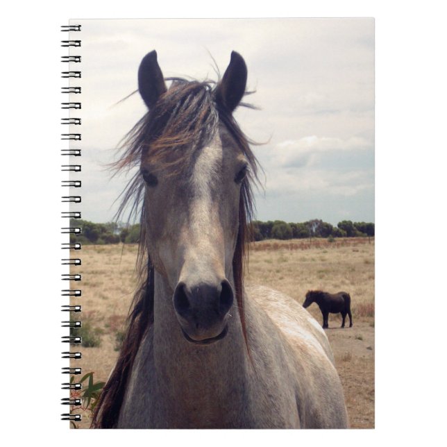 Star The Arab Pony,  Notebook (Front)