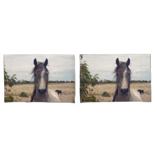 Star The Arab Pony,  Pillowcase