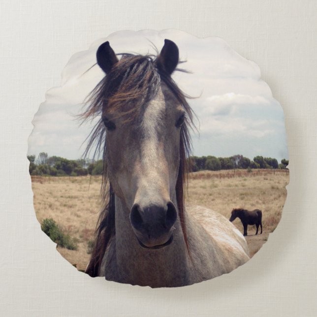 Star The Arab Pony,  Round Pillow (Front)
