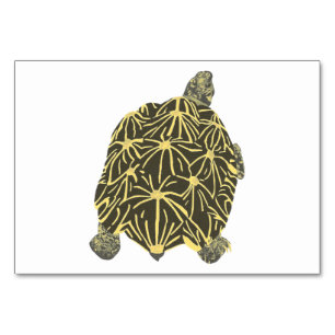 Star Tortoise Turtle Lecture de cartes mémoires po