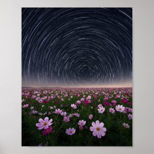 Star Trails Cosmos Flower Field Night Sky Poster