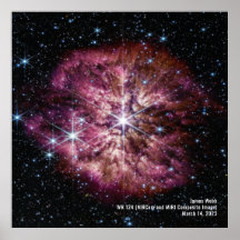 Star Wolf-Rayet 124 (WR 124) NIRCam and MIRI Image