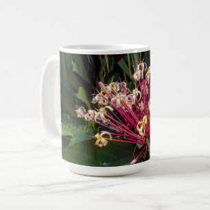Starburst Clerodendrum Flowers Mug