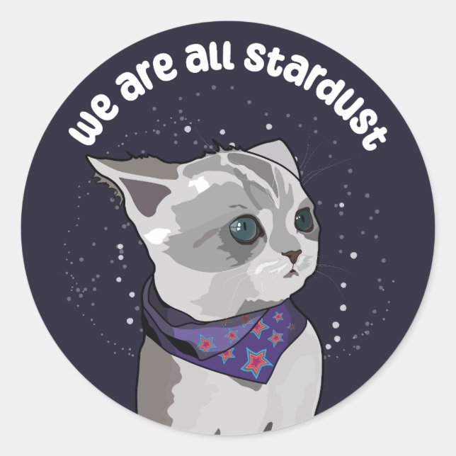 Stardust Kitten Classic Round Sticker (Front)