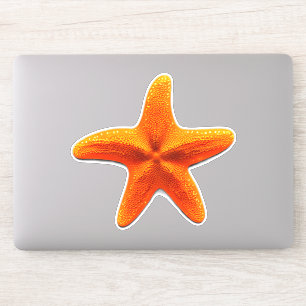 Starfish