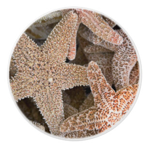 Starfish all around ceramic knob
