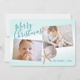 Starfish and Sand Dollar Holiday Photo