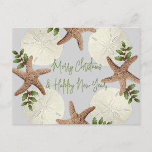 Starfish and Sand Dollars Beach Carte postale de N
