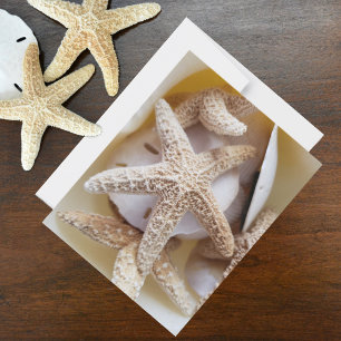 Starfish and Sand Dollars Seashell Photographic Card