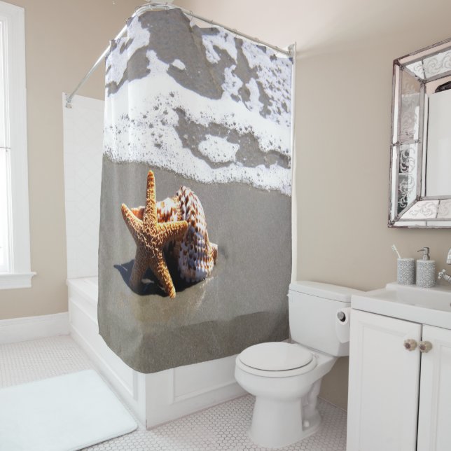 Starfish And Shell (In Situ)