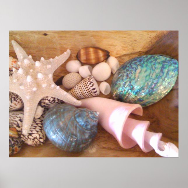Starfish and shells in wooden basket poster (Front)