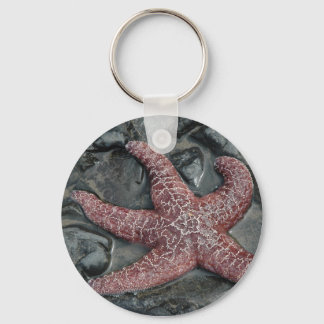 StarFish at Oceanside in Tillamook County, Oregon Keychain