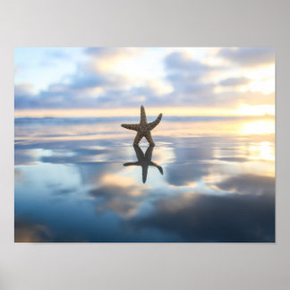 Starfish at the beach photo poster print
