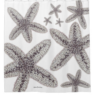 Starfish Black and White