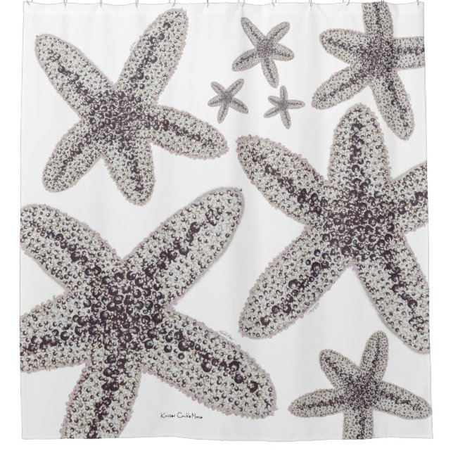 Starfish Black and White (Front)