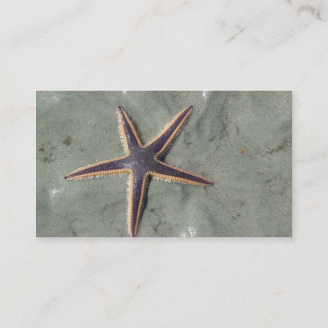 Starfish Business Card (Back)