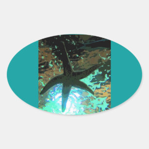 Starfish CB Oval Sticker