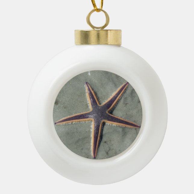 Starfish Ceramic Ball Christmas Ornament (Front)