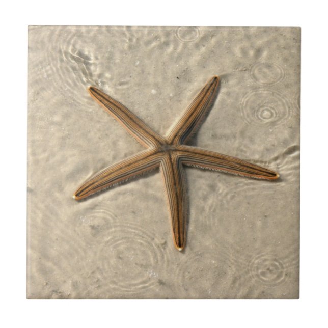 Starfish Ceramic Tile Trivet (Front)