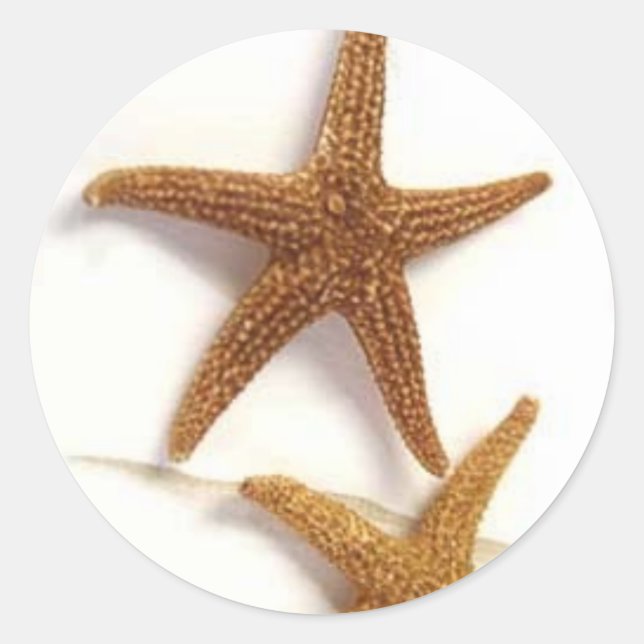 Starfish Classic Round Sticker (Front)