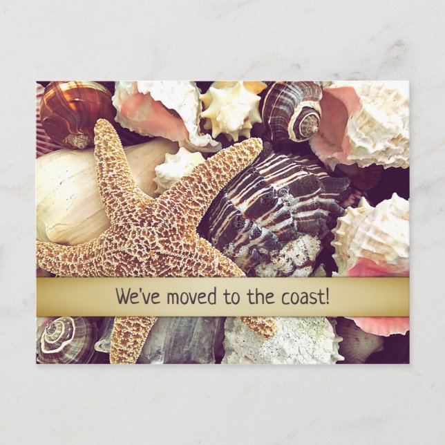 Starfish Coastal Home New Address Announcement Postcard (Front)