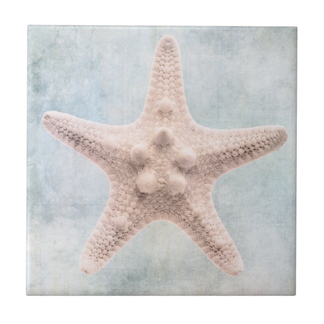 Starfish Distressed Coastal Blue Cream Tile (Front)