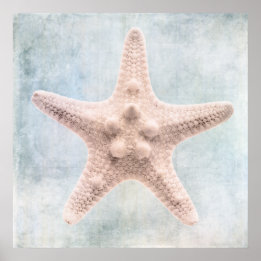 Starfish Distressed Coastal Blue Cream Watercolor Poster