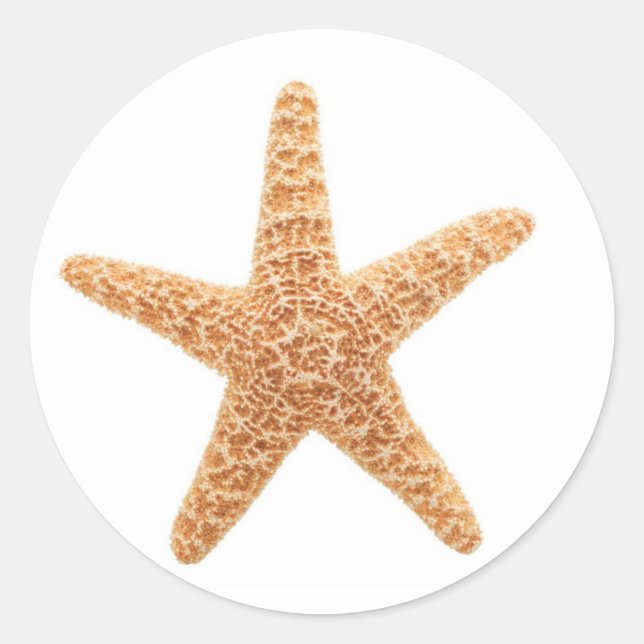 starfish fun classic round sticker (Front)