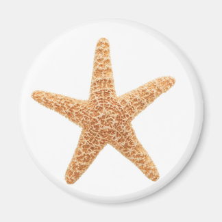 starfish fun magnet