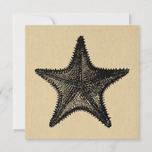Starfish Illustration Ocean Art Vintage Starfish Card
