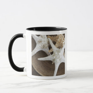 Starfish in a basket mug