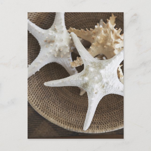 Starfish in a basket postcard (Front)