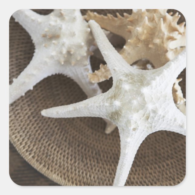 Starfish in a basket square sticker (Front)