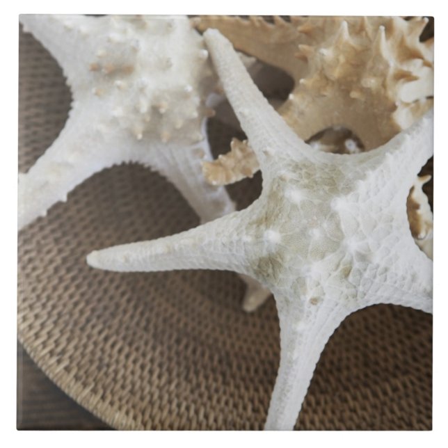 Starfish in a basket tile (Front)