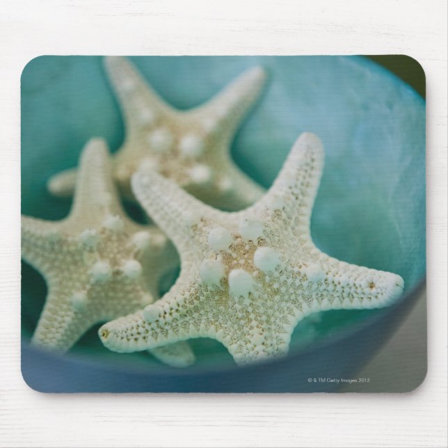 Starfish in bowl mouse pad (Front)