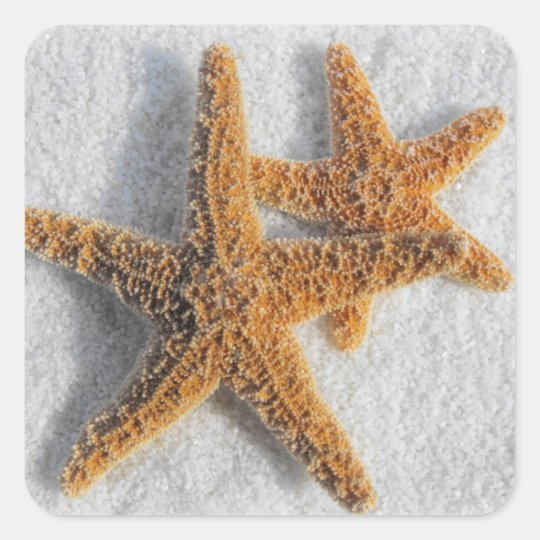 Starfish in Sand Beach Wedding Square Sticker