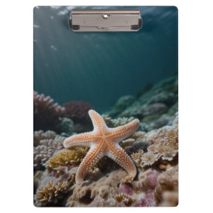 Starfish in the Deep Sea Clipboard
