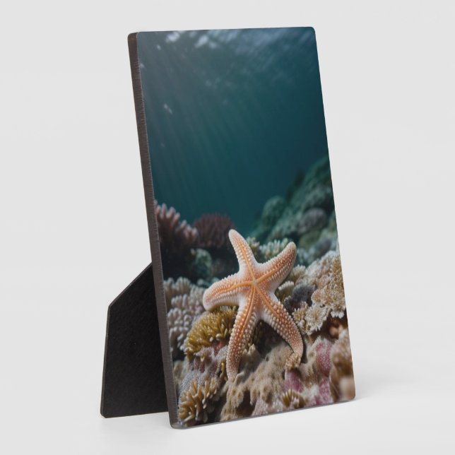 Starfish in the Deep Sea Plaque (Side)