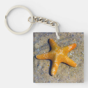 Starfish in the Sand Beach Theme Custom Text Keychain