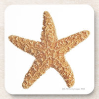 Starfish isolated on white